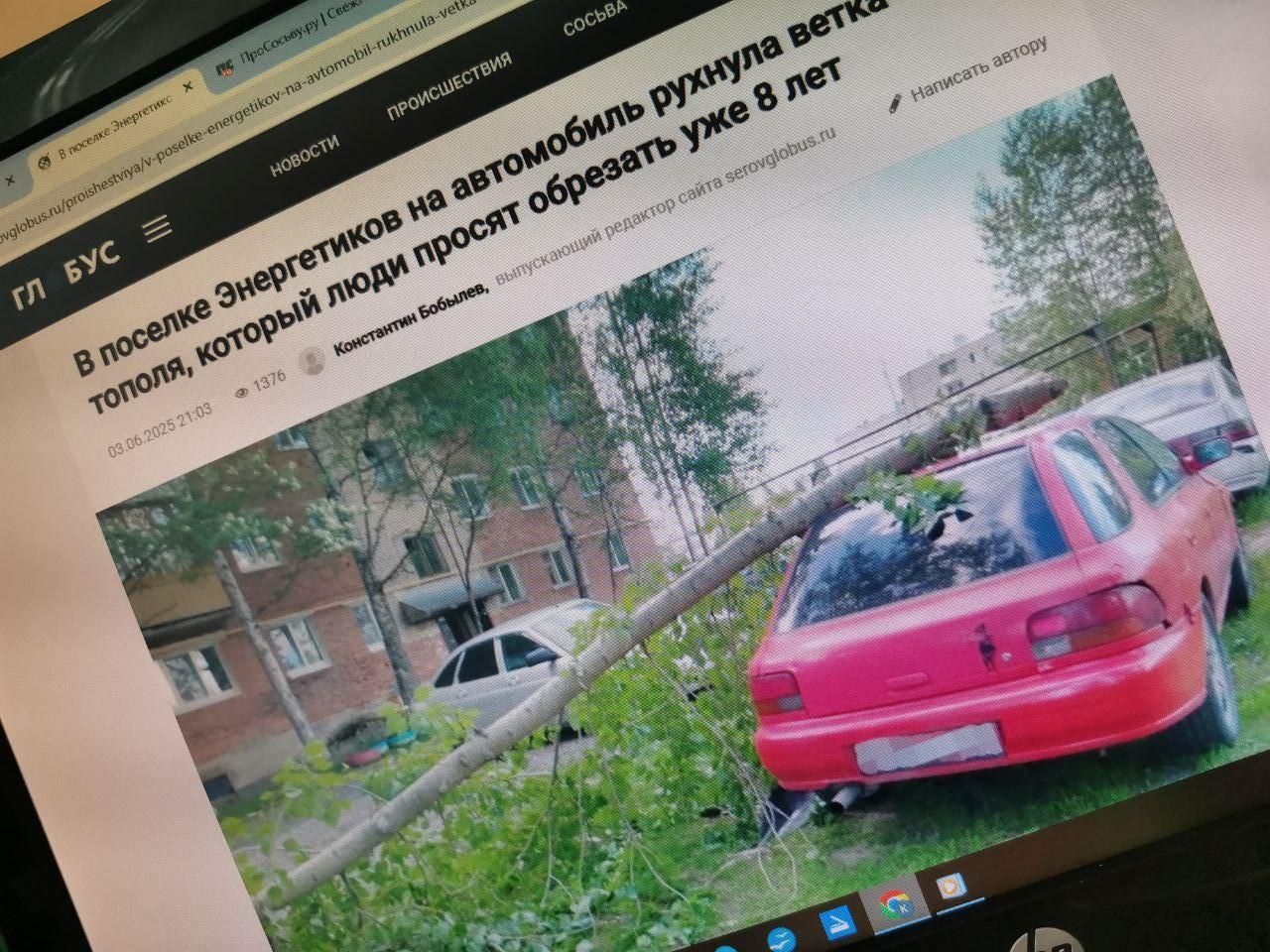 Глава Серова настаивает, что обрезкой опасных тополей в поселке Энергетиков должны заниматься люди