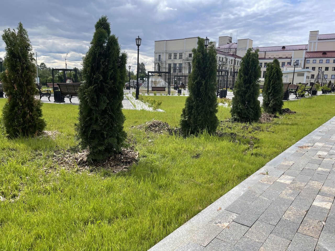 В театральном сквере Серова заменили восемь туй