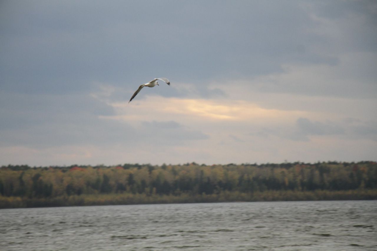 В Серове ищут подрядчика для безопасной эксплуатации Киселевского гидроузла