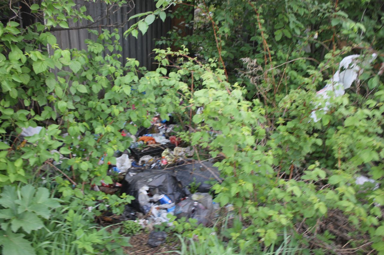 "Свинарник прямо на въезде в город". Серовчане возмущены свалкой мусора на улице Каквинской