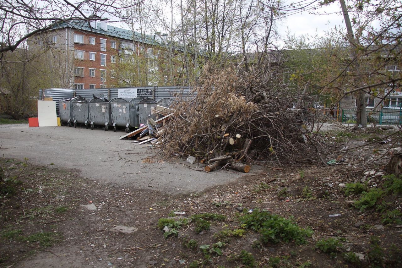 УКС Серова ищет компанию для содержания 274 контейнерных площадок