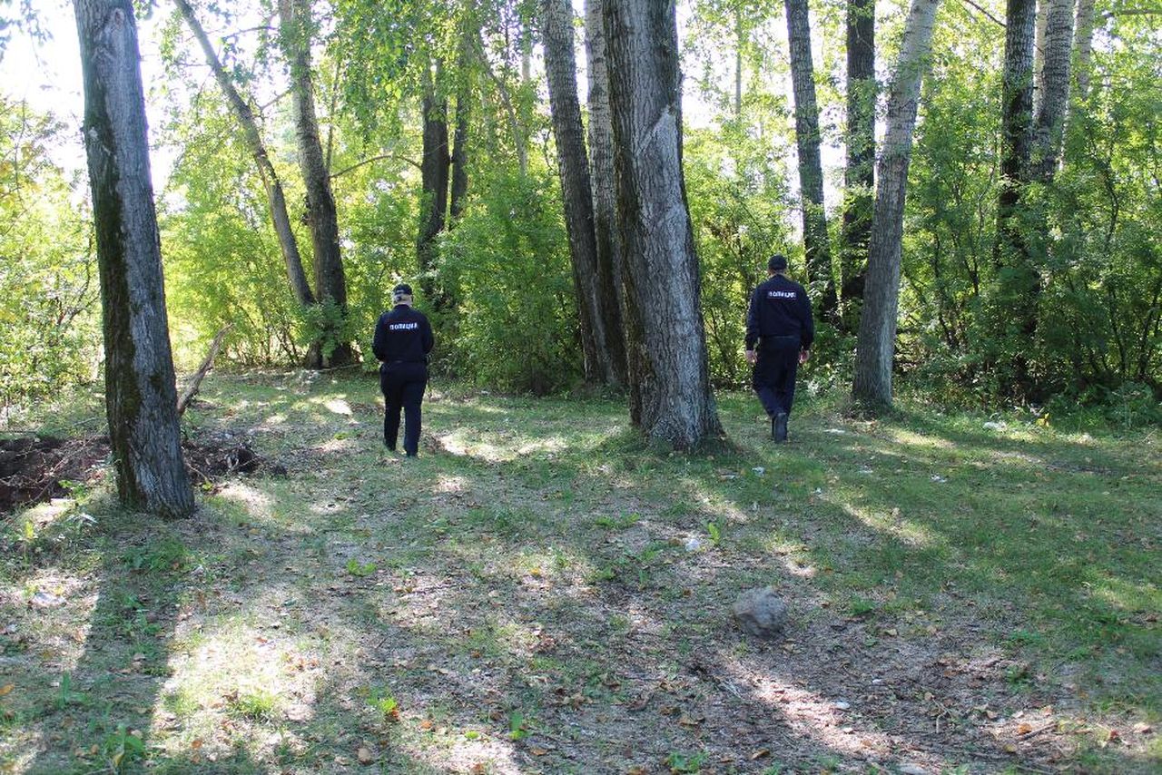 Полицейские, спасатели, волонтеры разыскивают потерявшегося в лесах серовчанина