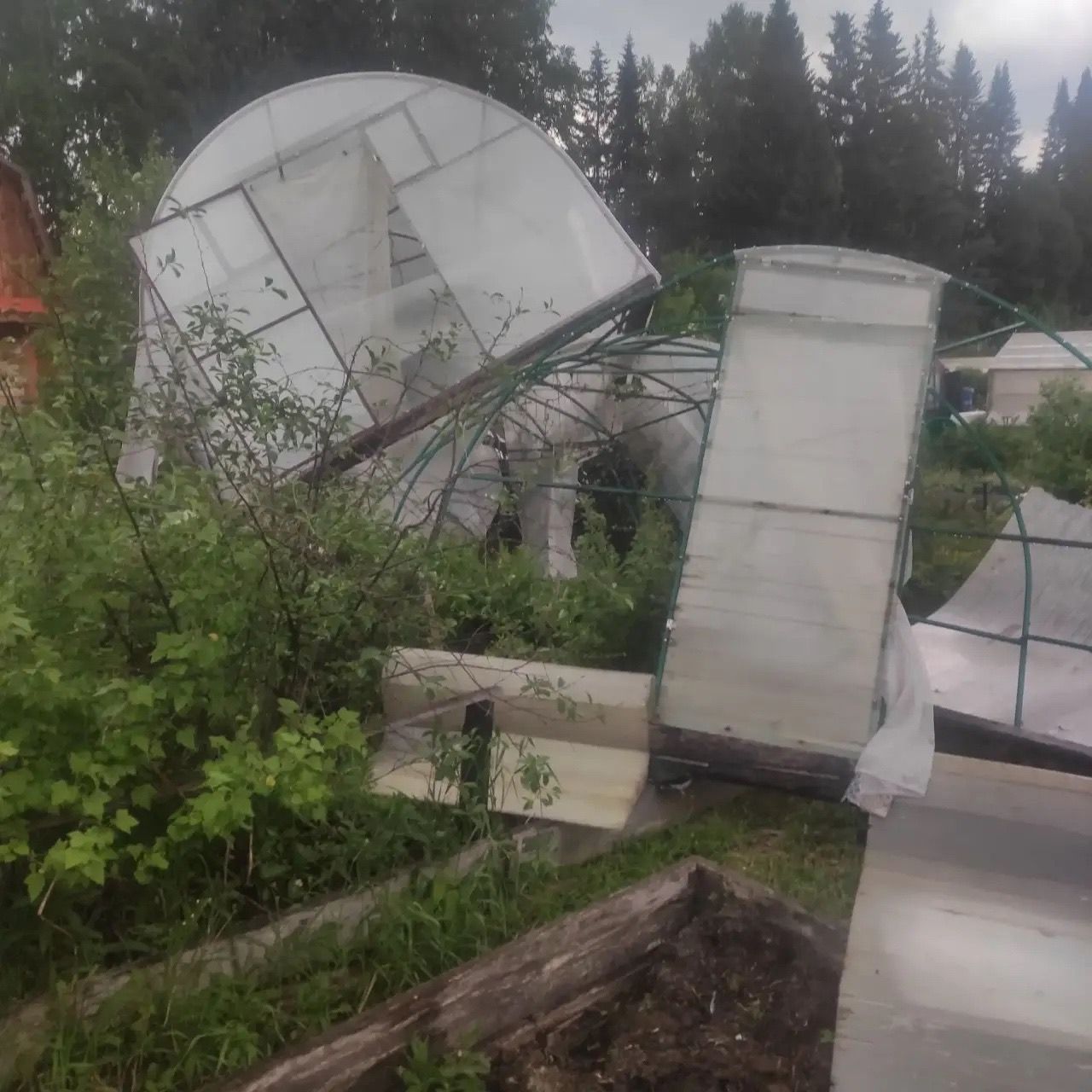 Поваленные деревья, отключение света, погром в садах - последствия урагана в Серове