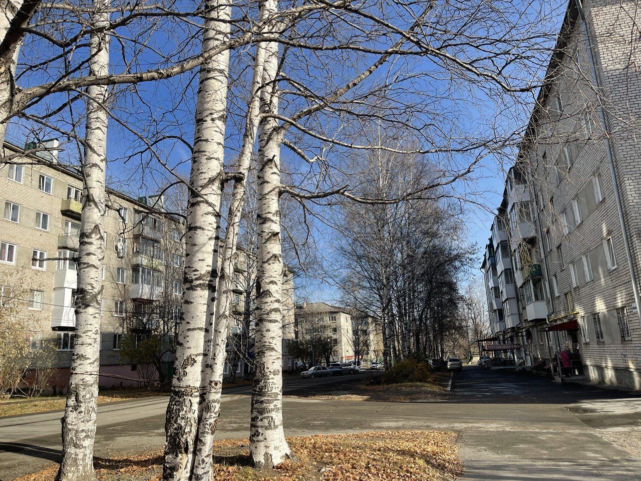 До конца октября температура воздуха на севере области будет близка к нулю градусам