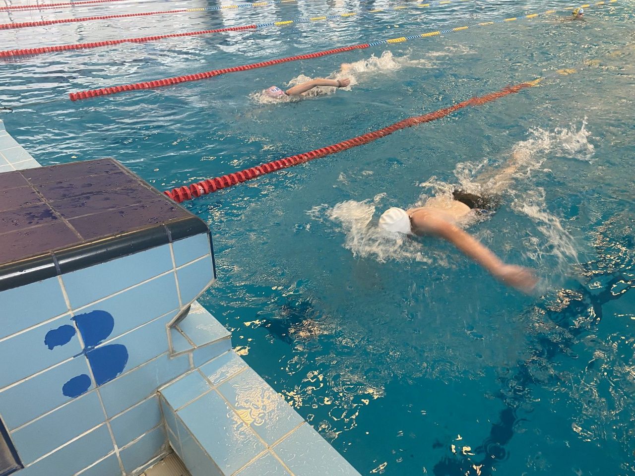 Серовчан приглашают в бассейн на единый день ГТО