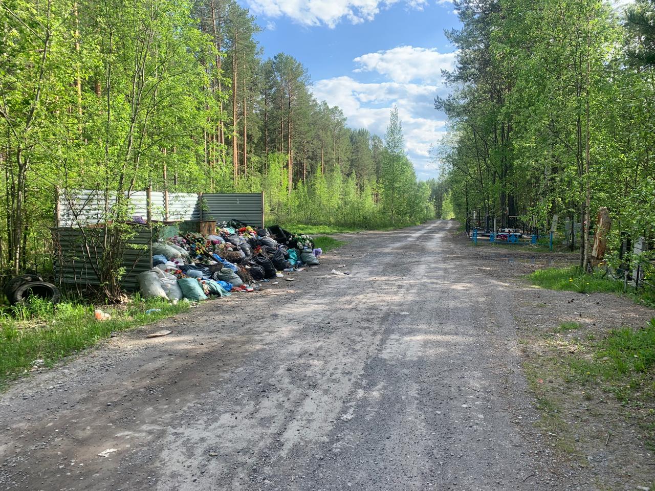 Такой бардак...» Серовчанин пожаловался на мусорные завалы на городском  кладбище | Истории | СеровГлобус.ру