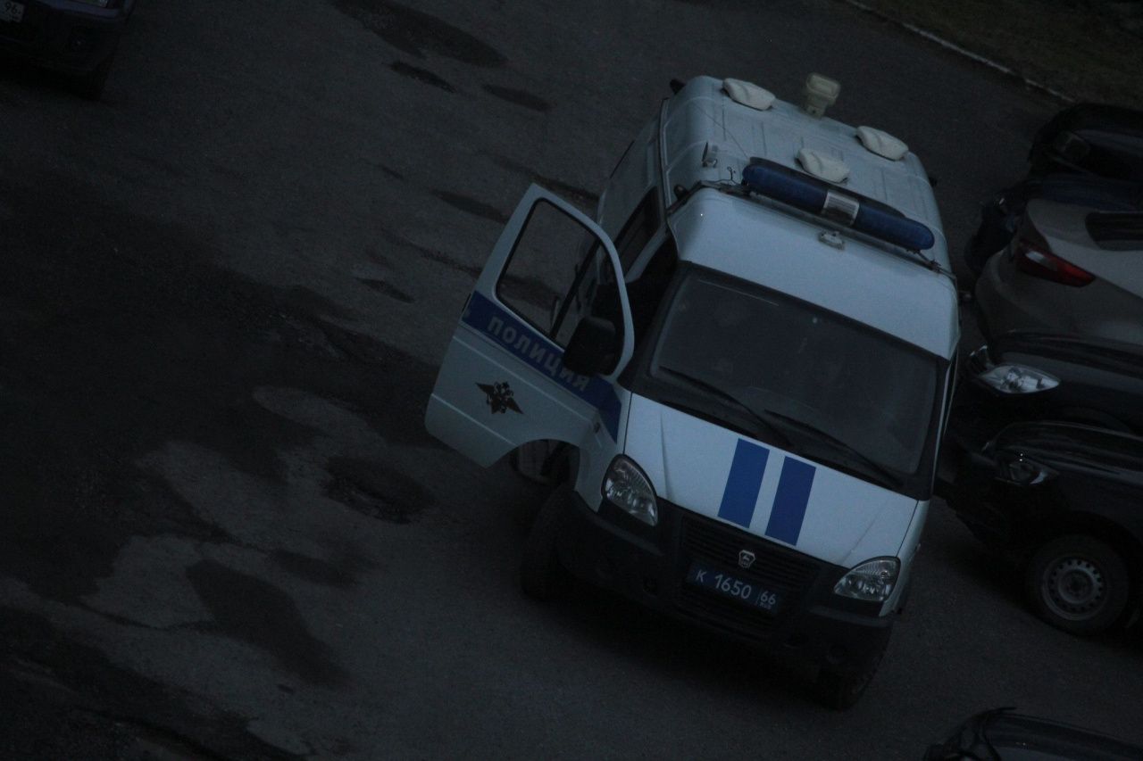 Нелепая шутка? Жительница Гарей рассказала, что при поездке в Серов у нее попытались отобрать сумку