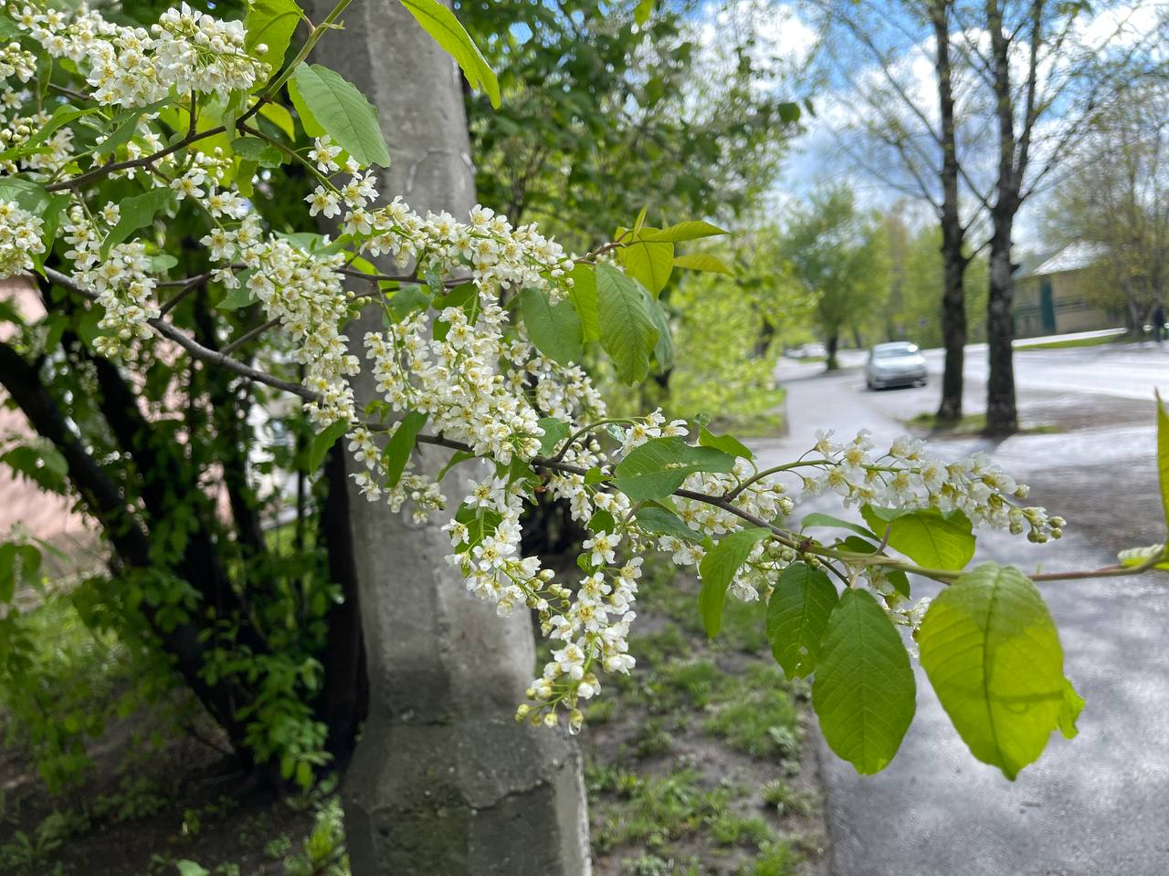 В конце мая на севере области обещают потепление до +23 градусов