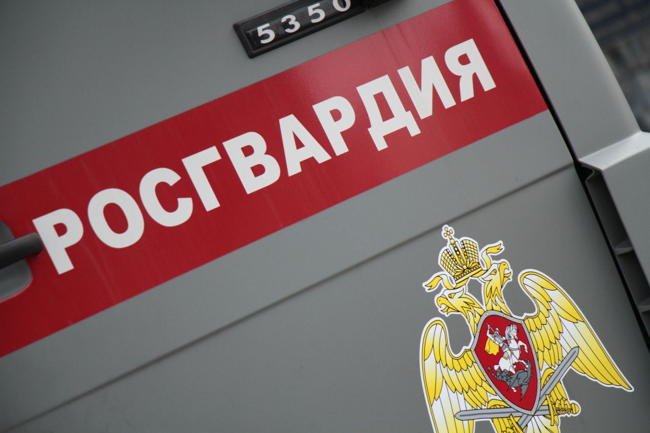Пьяный серовчанин в кафе побил росгвардейцев. За что был осужден