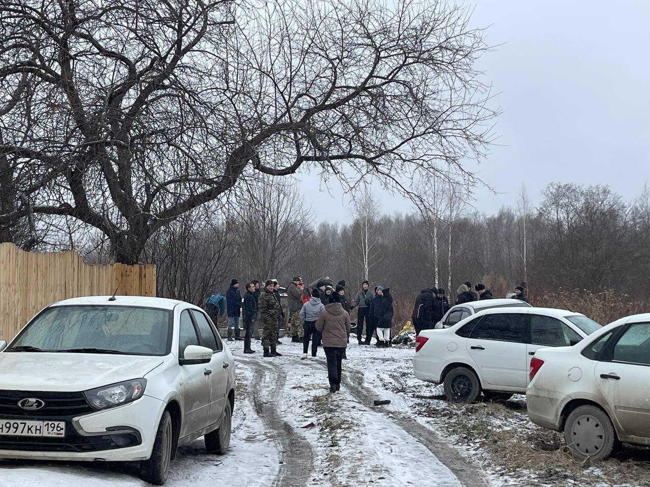 Серовчане рассказали о страшной находке на своем участке: “Голова отпилена, зазубринки видны” 