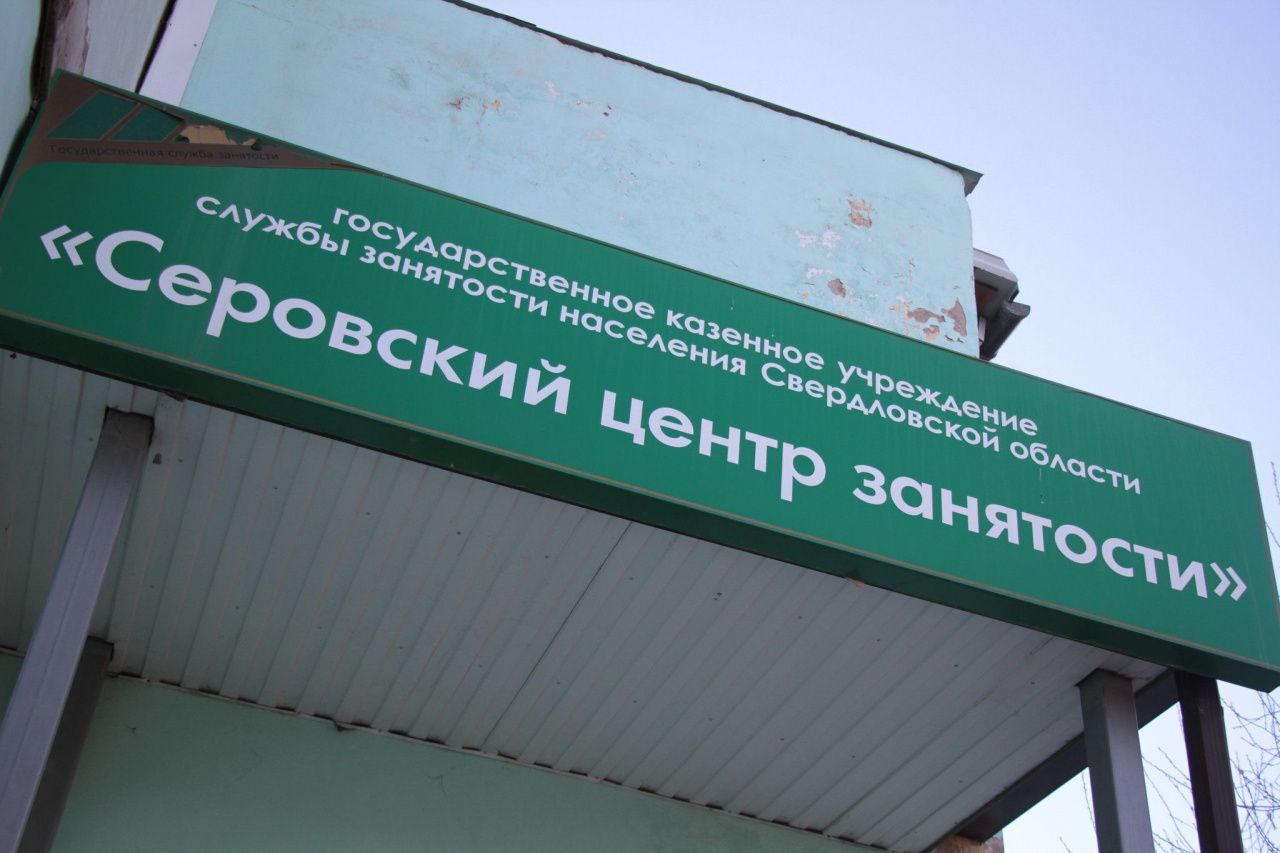 От уборщика до педиатра. Больше полусотни вакансий в Серове, Сосьве и Гарях от центра занятости