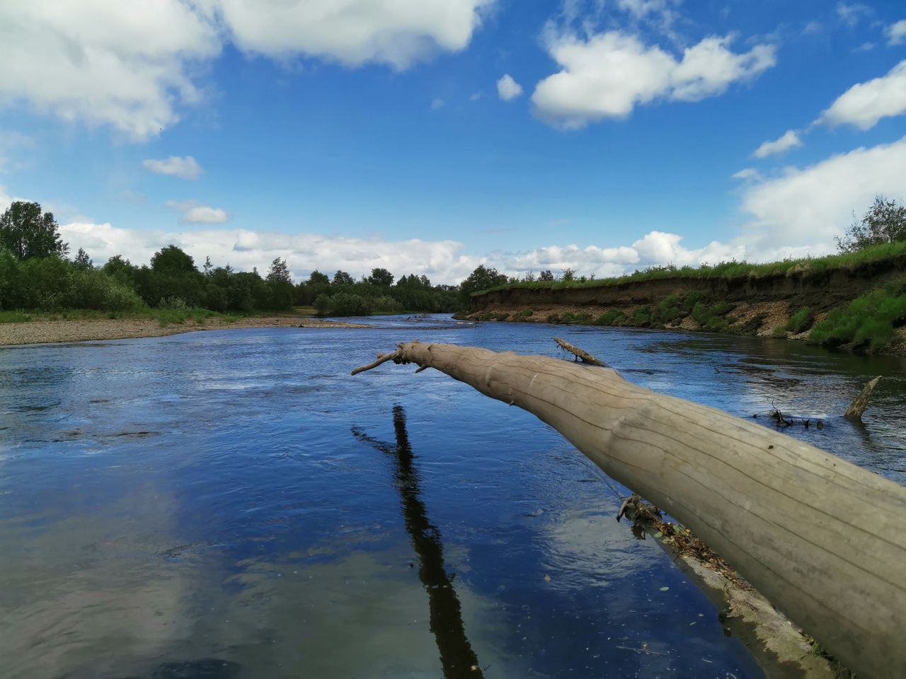 “Почему такую красоту не сберечь?” Серовчане переживают за состояние реки Каквы