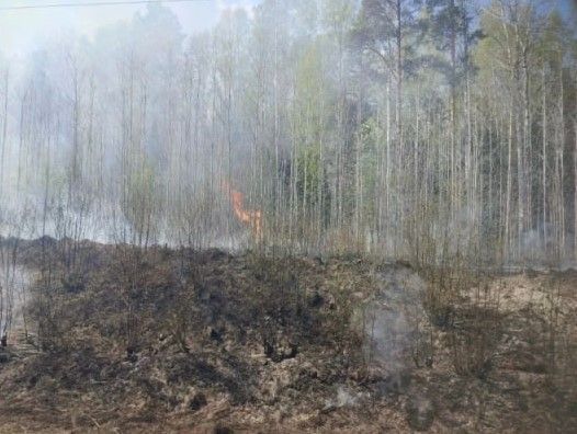 На территории Серовского лесничества произошел второй в этом году природный пожар