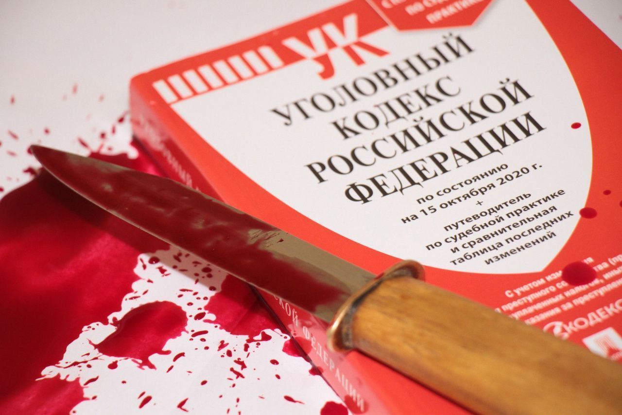 Серовчанин получил 6 лет колонии строгого режима за то, что убил свою мать