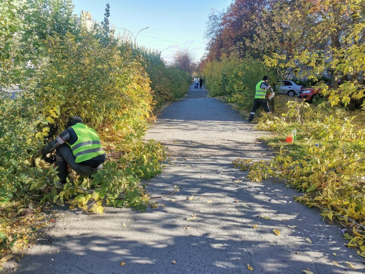 На обрезку деревьев и уход за ними из бюджета Серова выделено больше миллиона рублей