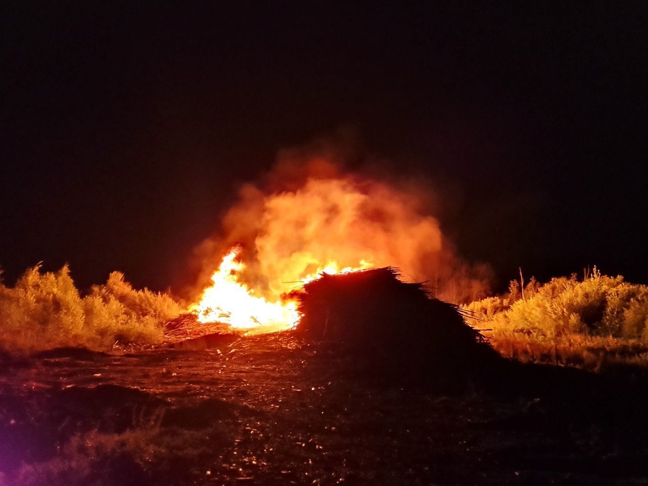 На Лесозаводе на площади 60 квадратных метров горел опил