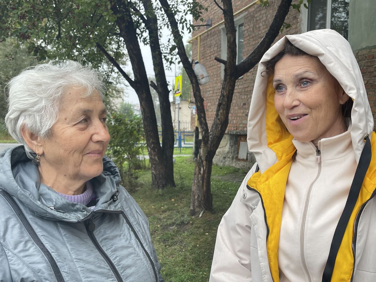 Метровый бурьян есть, а детской площадки и лавочек для старушек нет. Серовчане жалуются на состояние двора