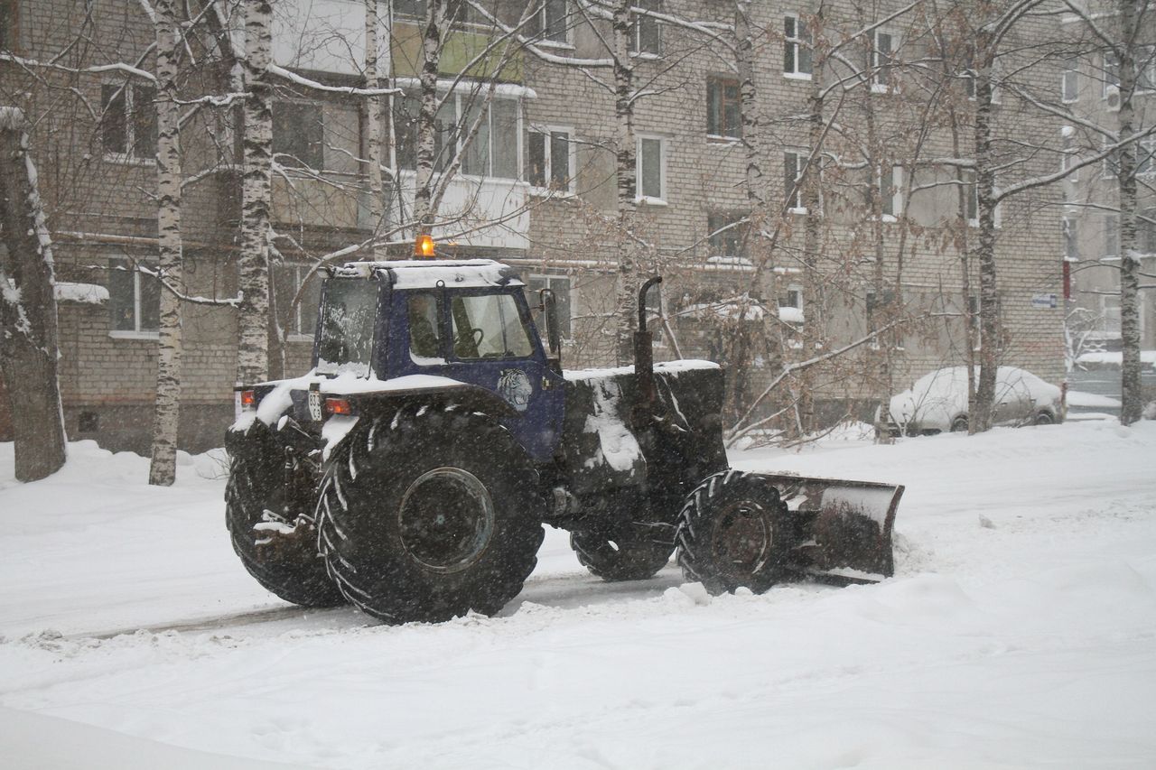 В «Серовавтодоре» работал тракторист с поддельными правами. Возбуждено  уголовное дело | Происшествия | СеровГлобус.ру