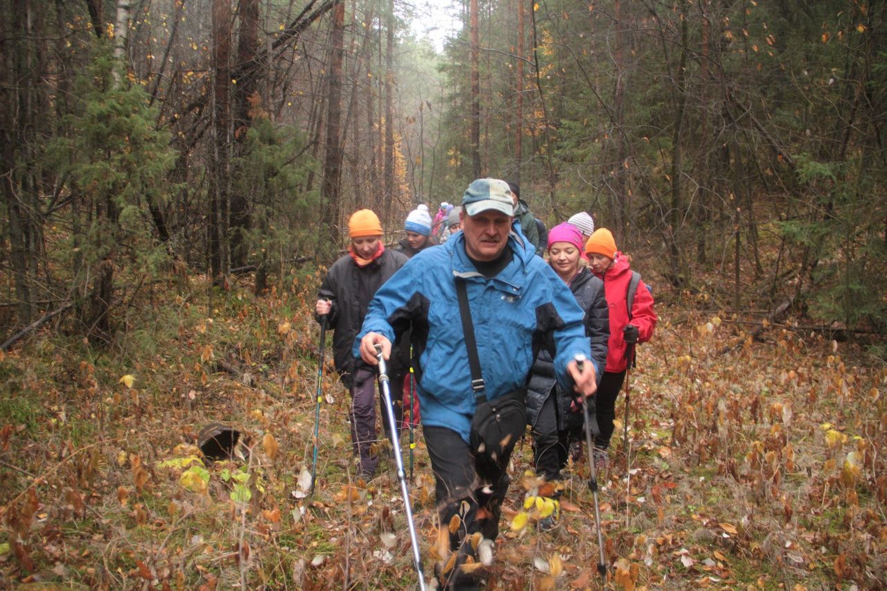 Естественное движение человека. Серовчане отметили День ходьбы прогулкой по Крутому логу