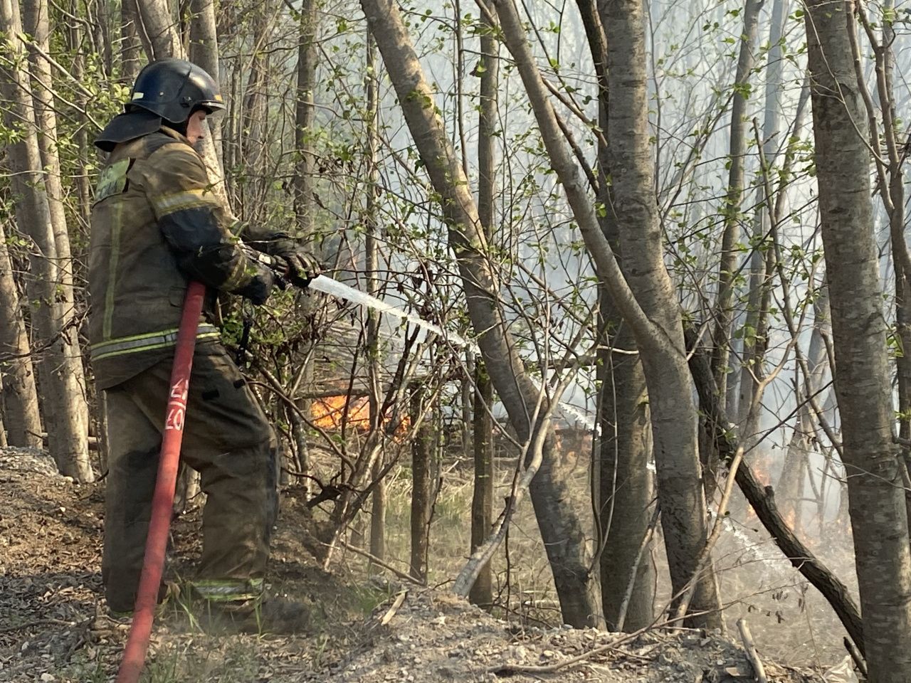 В поселке Черноярский потушили пожар. Горела сухая трава