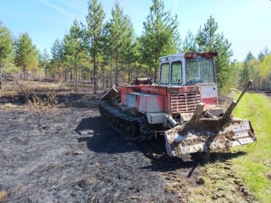 «Костер обнаружили на берегу реки». 18 человек тушили пожар в лесу под Серовом