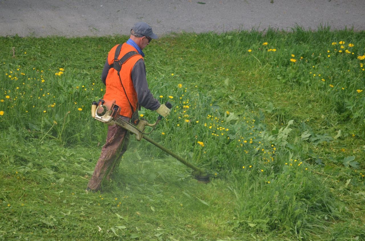 На содержание газонов в Серове выделено почти 5 миллионов рублей