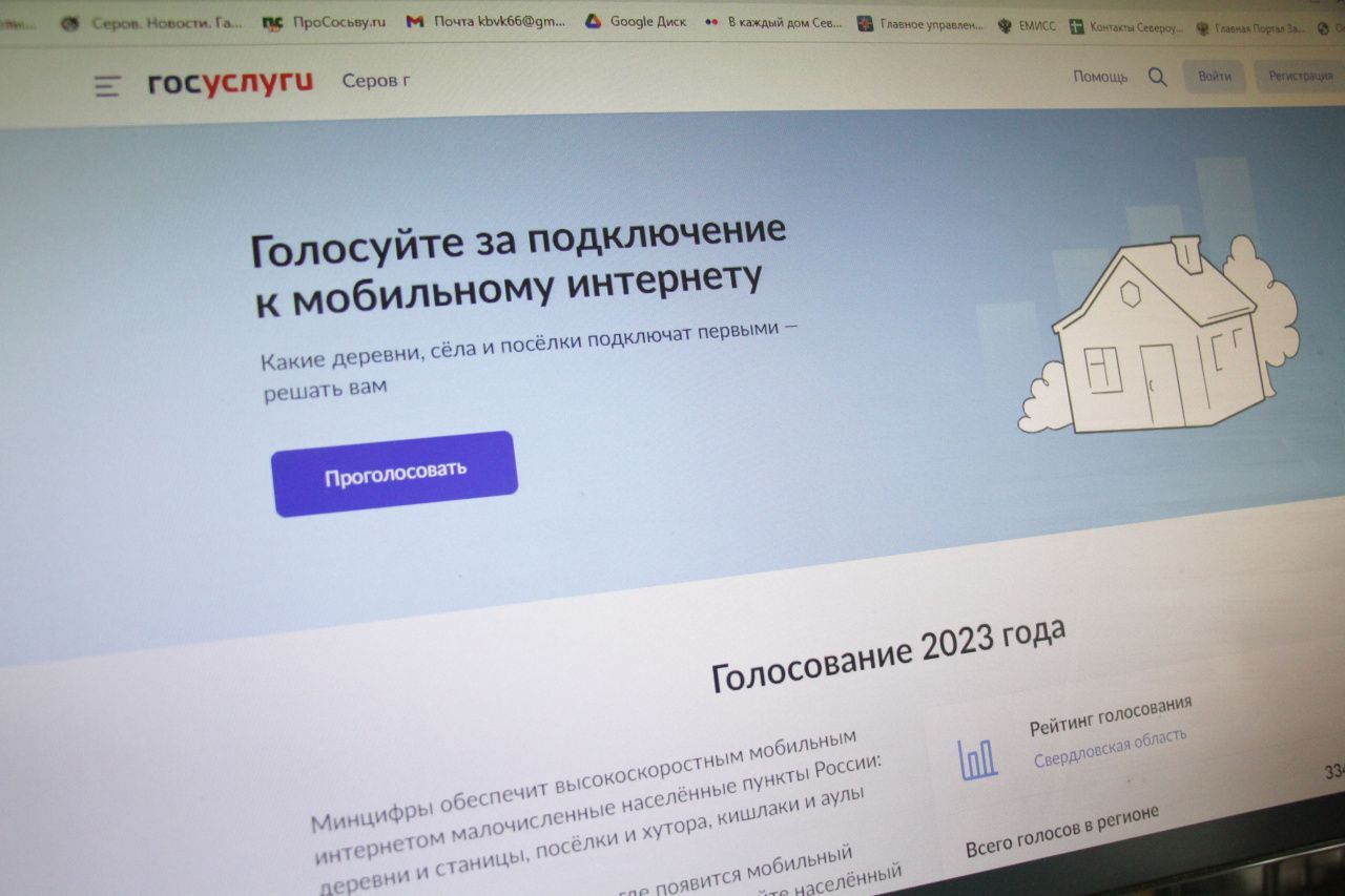 Серовчанам через интернет предлагают проголосовать за подключение деревень к интернету 