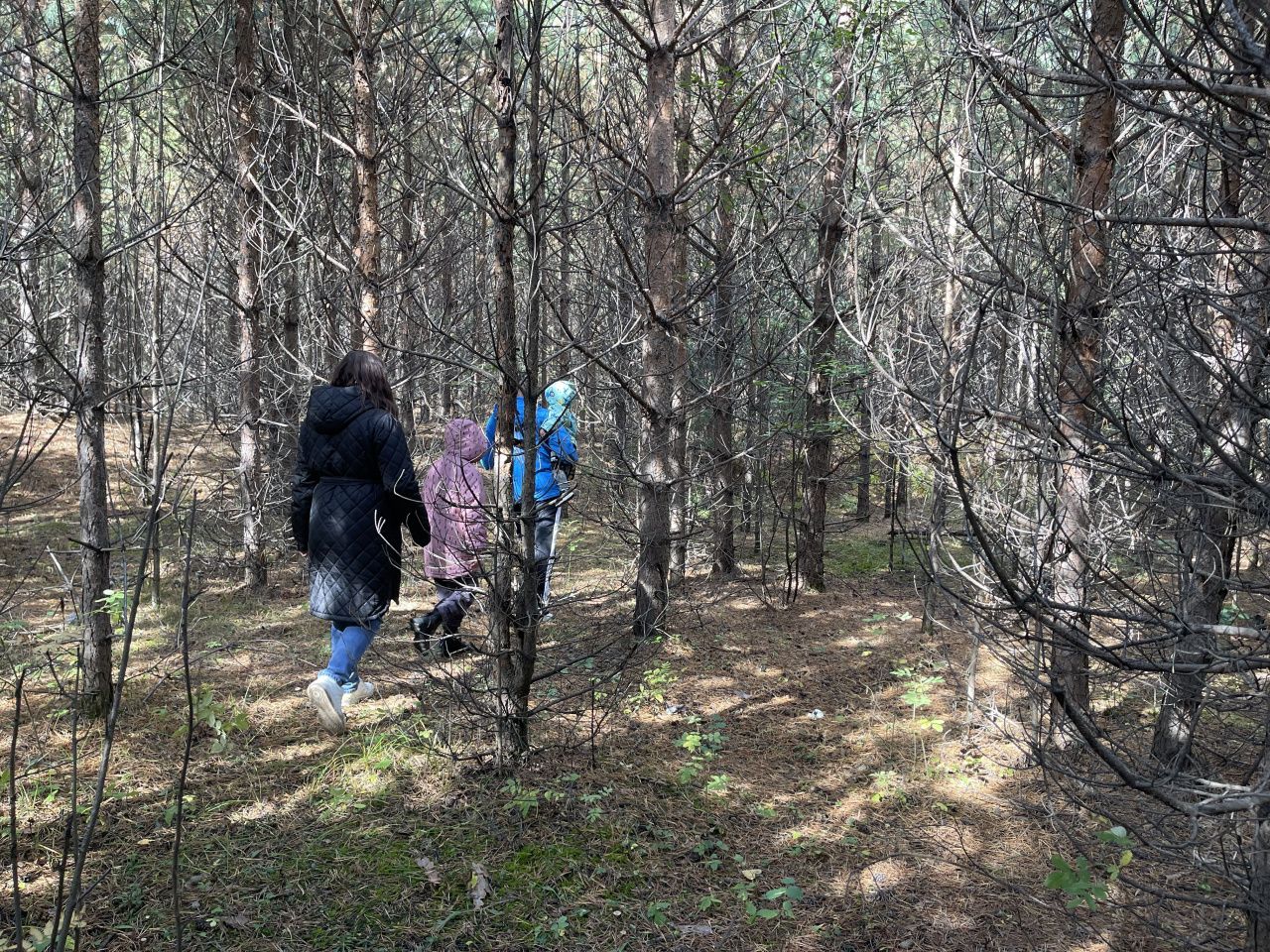 Мэрия Серова считает, что не обязана обеспечивать инфраструктурой земельные участки, выделенные под ИЖС