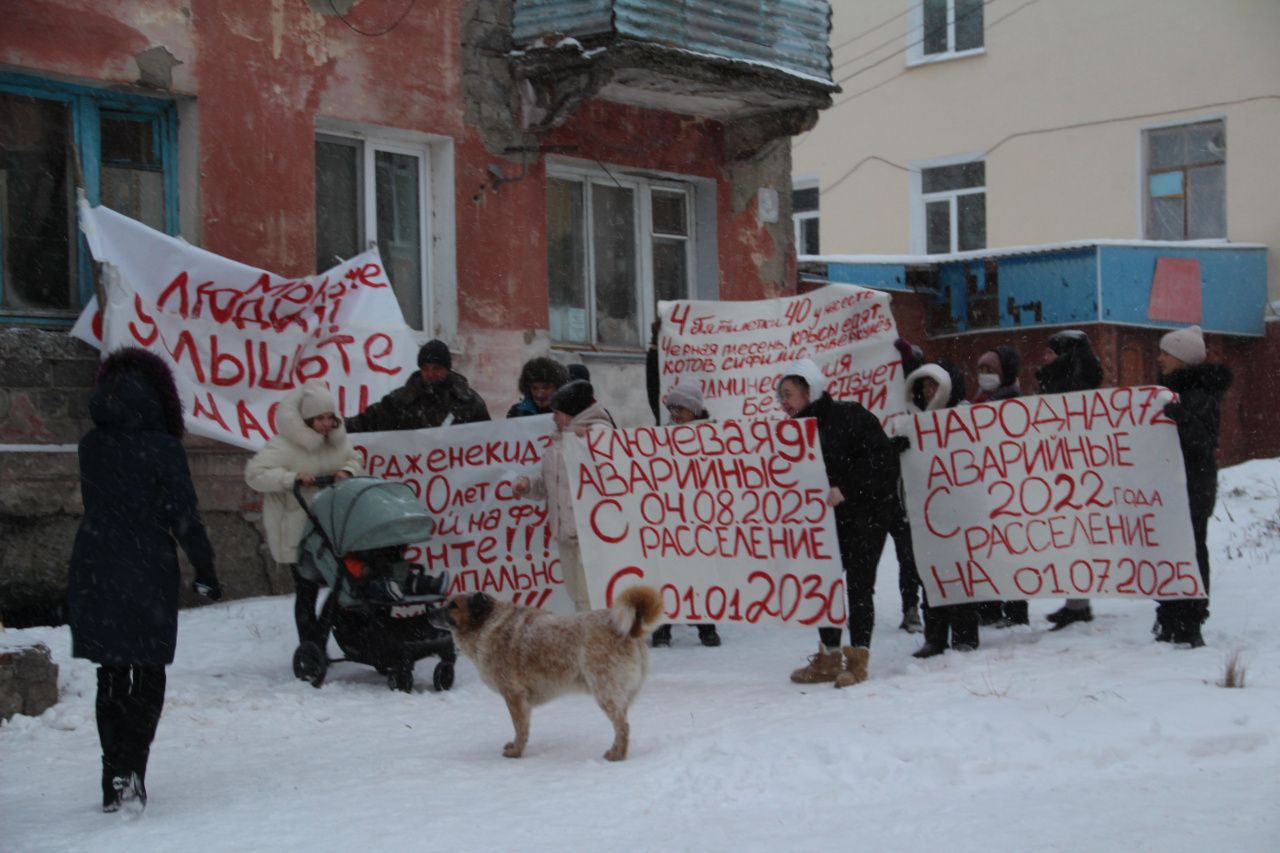 "У нас есть черная плесень, крысы едят котов, сифилис, туберкулез". К президенту обратились серовчане из аварийных домов