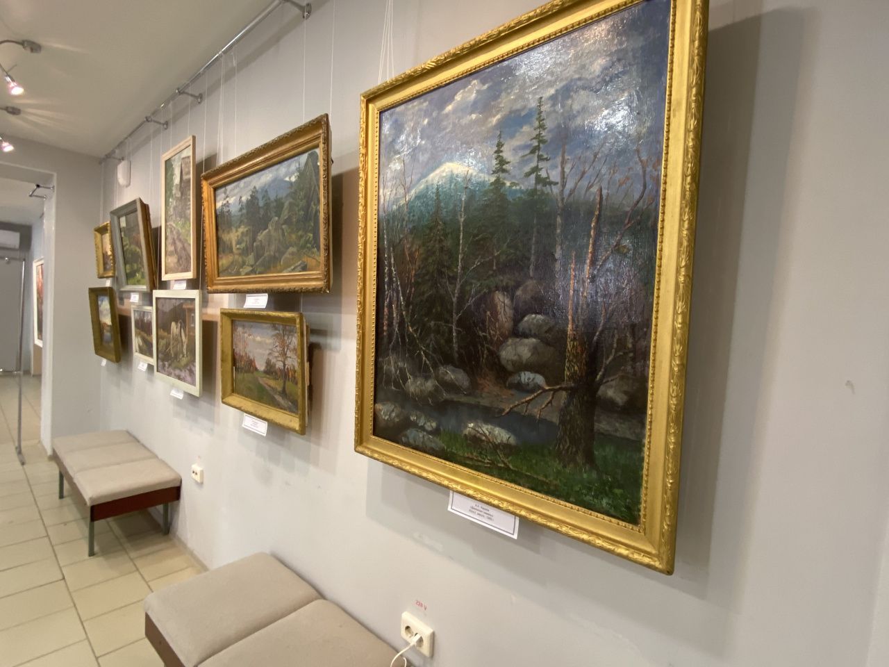 В Серове открылась художественная выставка “Галерея искусства”
