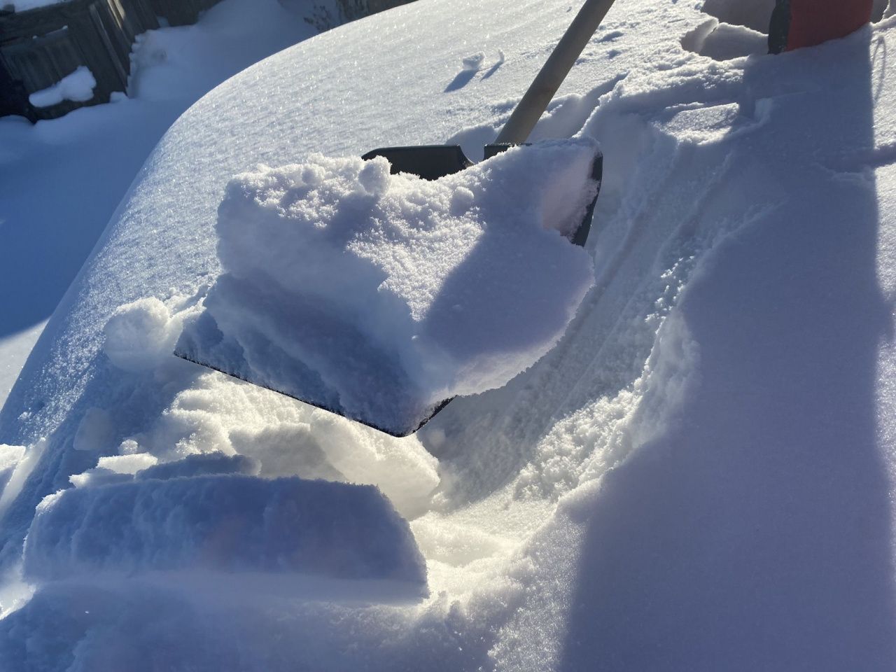 Молодежь Серова объявила о старте “Снежного десанта”