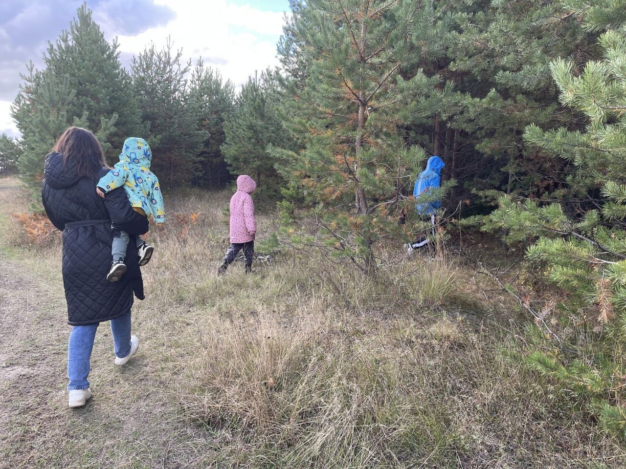 В Серове суд рассматривает иск об обеспечении инфраструктурой выделенных многодетным участков под ИЖС