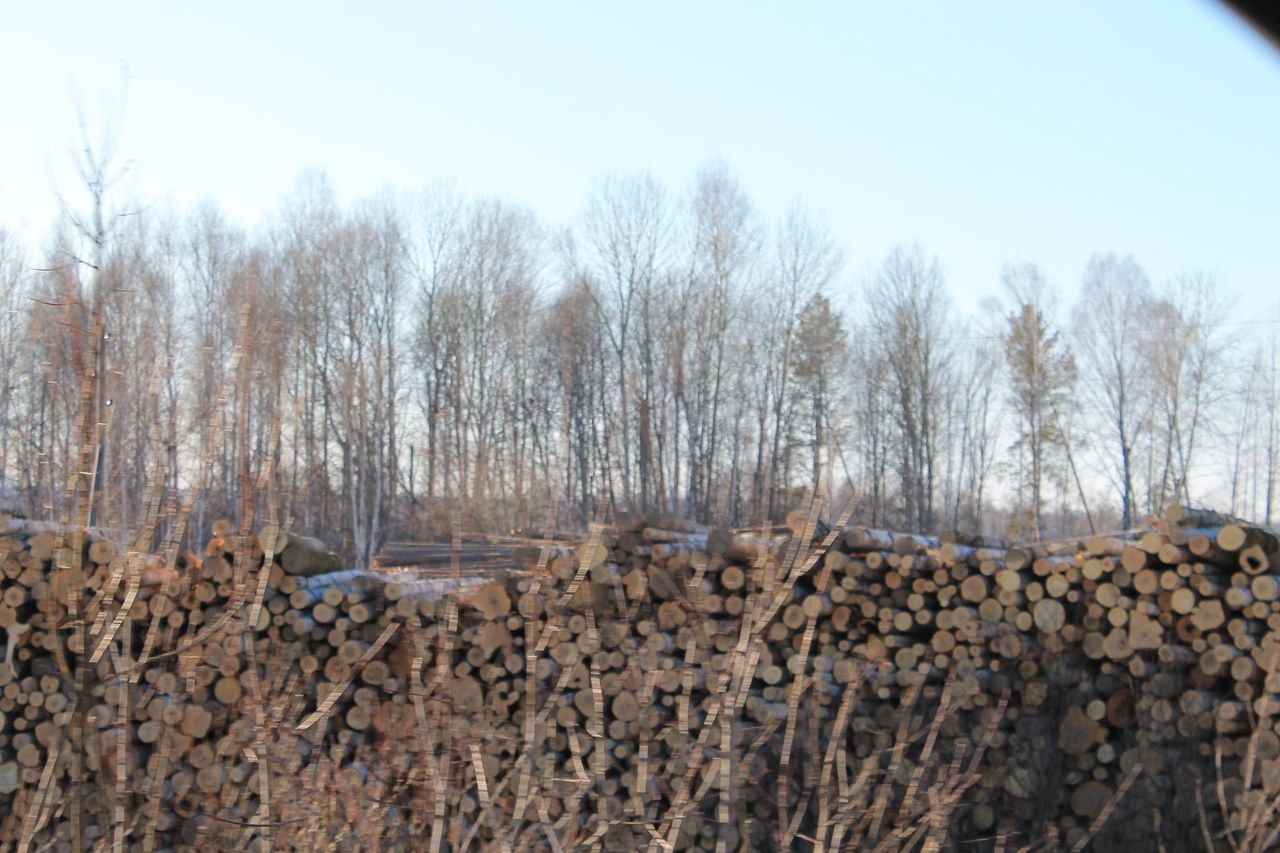 Сотрудники Уральской базы авиационной охраны лесов незаконно валили лес под Серовом
