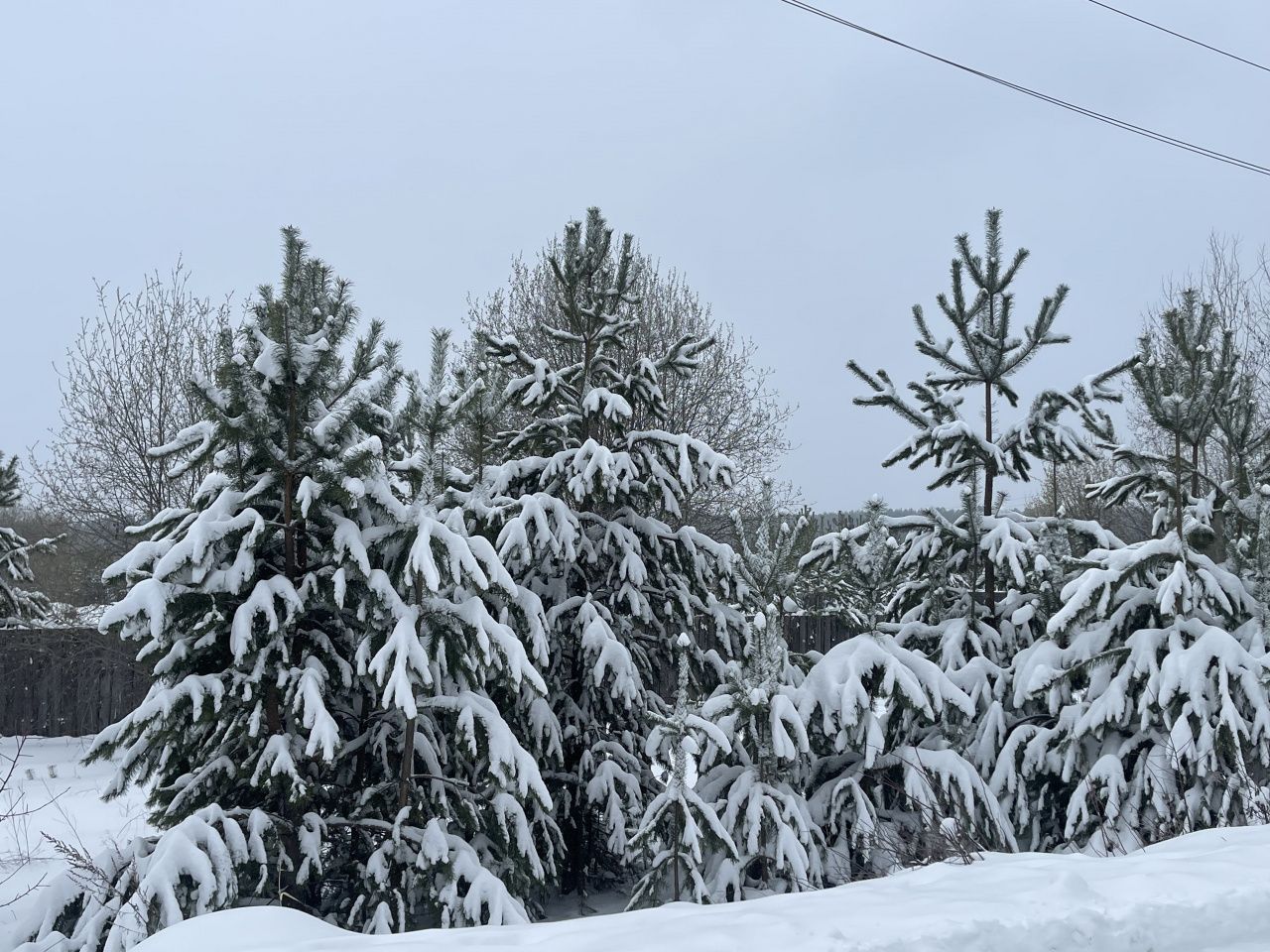 За пять дней апреля на севере области выпало более 120% месячной нормы осадков