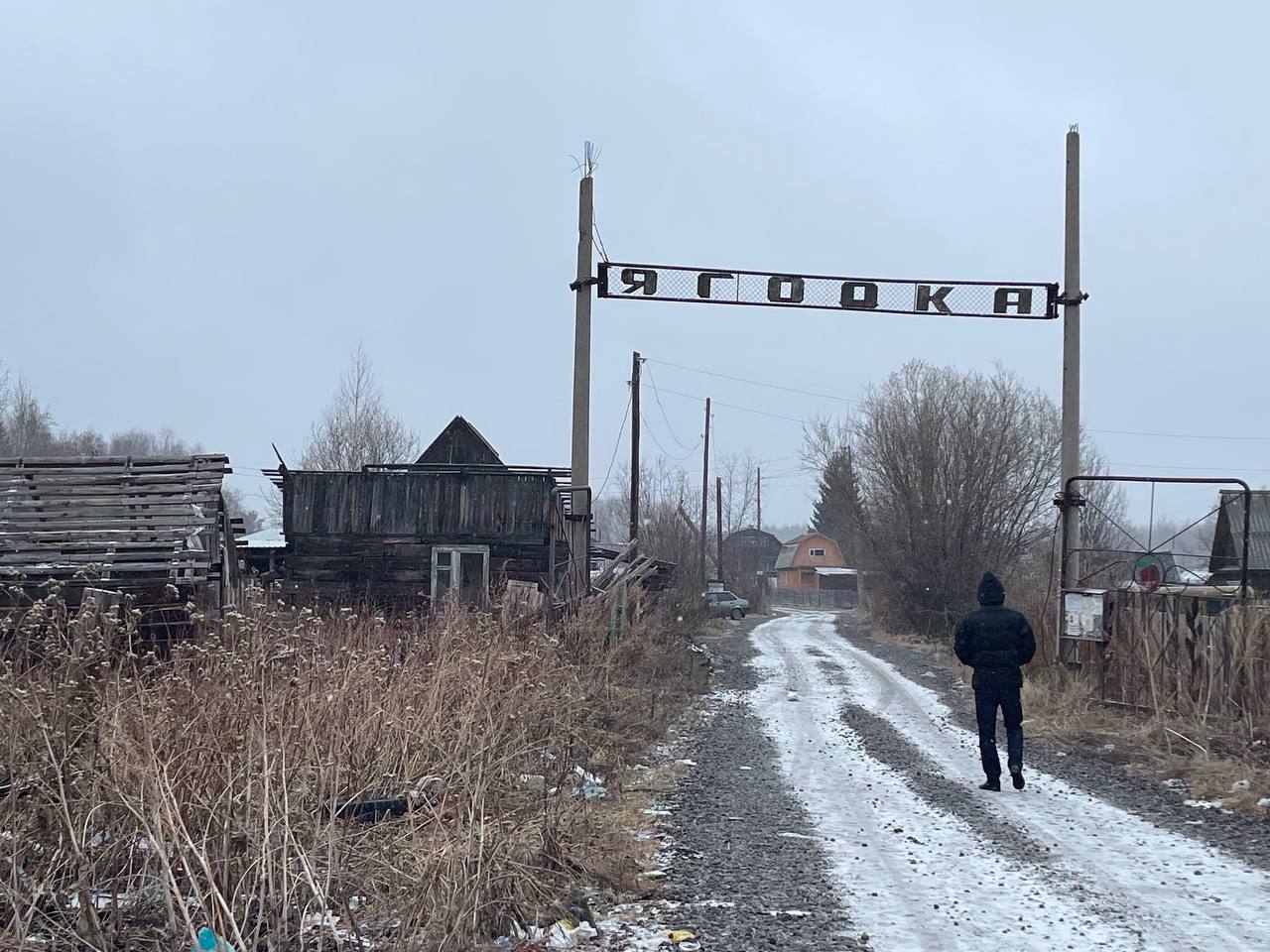 Человеческая голова была обнаружена за пределами «Ягодки», а принести ее туда могли собаки