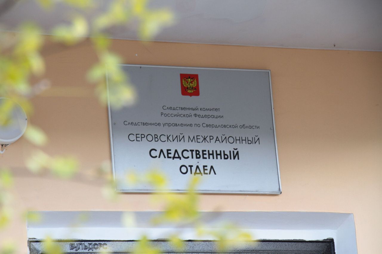 Серовчанка умерла во время длительного употребления алкоголя. Ее сожителя обвиняют в смертельном избиении