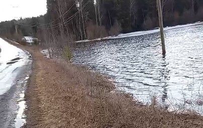 Серовчанин переживает, что вышедшая из берегов река Еловка может размыть дорогу до Андриановичей