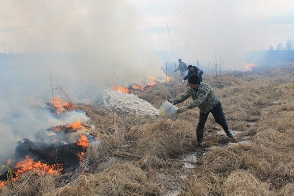 В Свердловской области с 15 апреля начнет действовать особый противопожарный режим