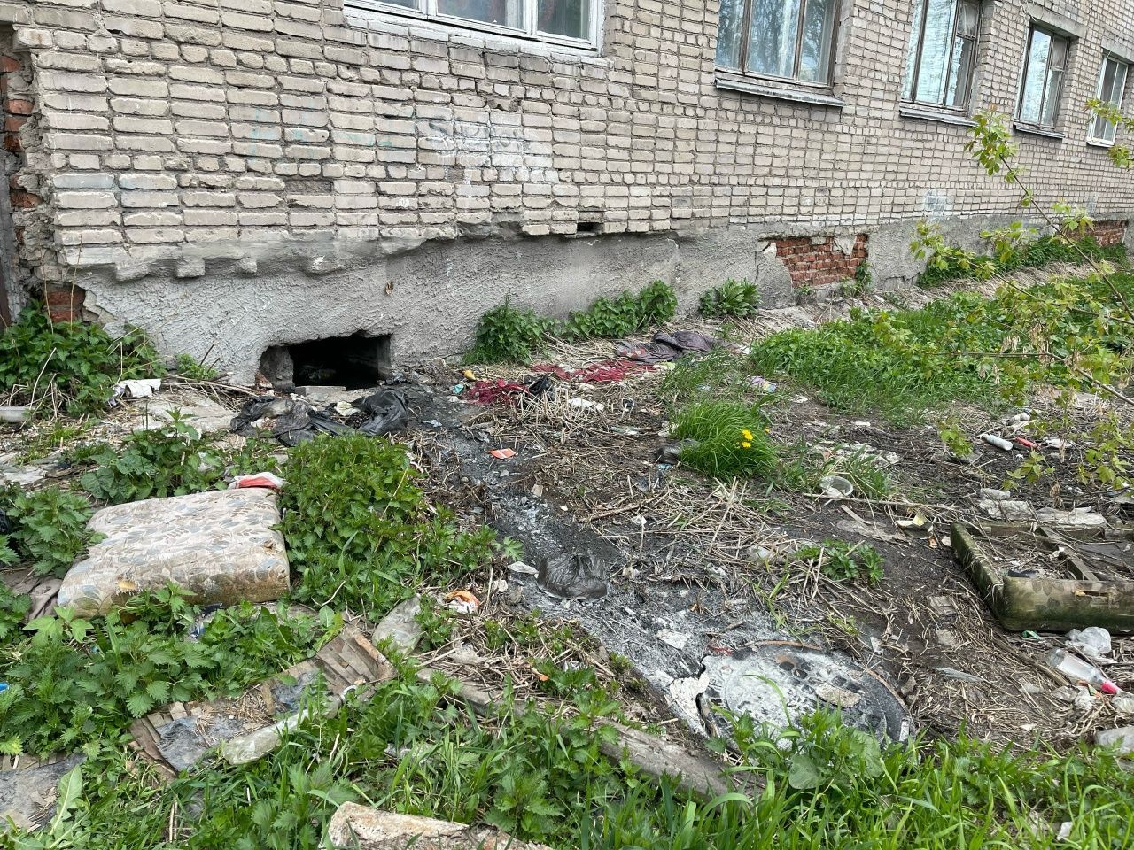 "Запах этого говна к нам идет". Серовчане жалуются на канализацию, вытекающую из подвала “общаги”