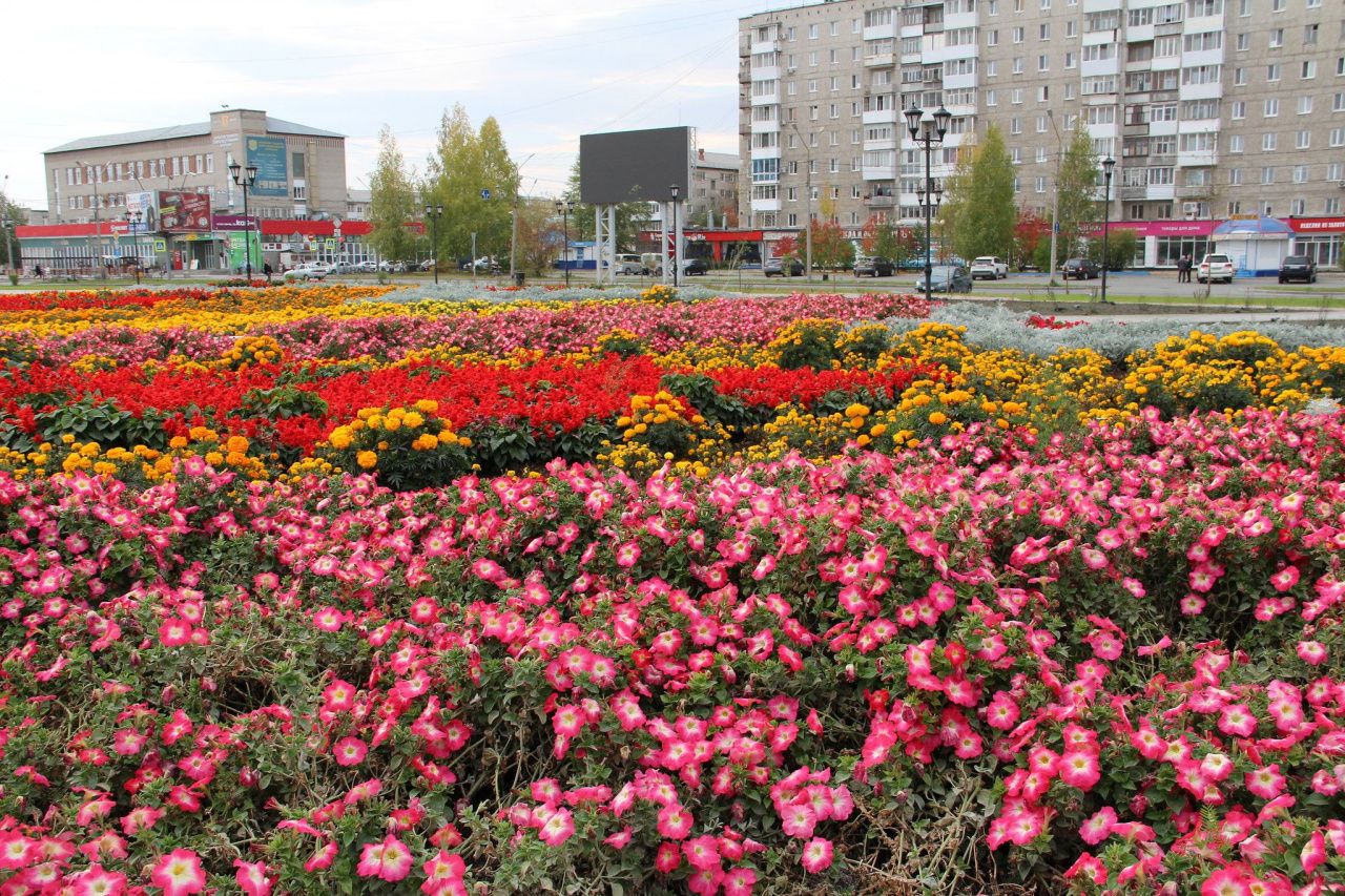 На обустройство цветников на общественных территориях в Серове выделено больше 5 миллионов рублей