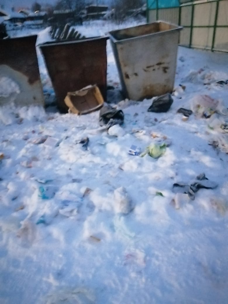 «Хожу мимо этой помойки каждый день». Жители Новой Колы и Филькино жалуются на качество уборки территорий контейнерных площадок от мусора