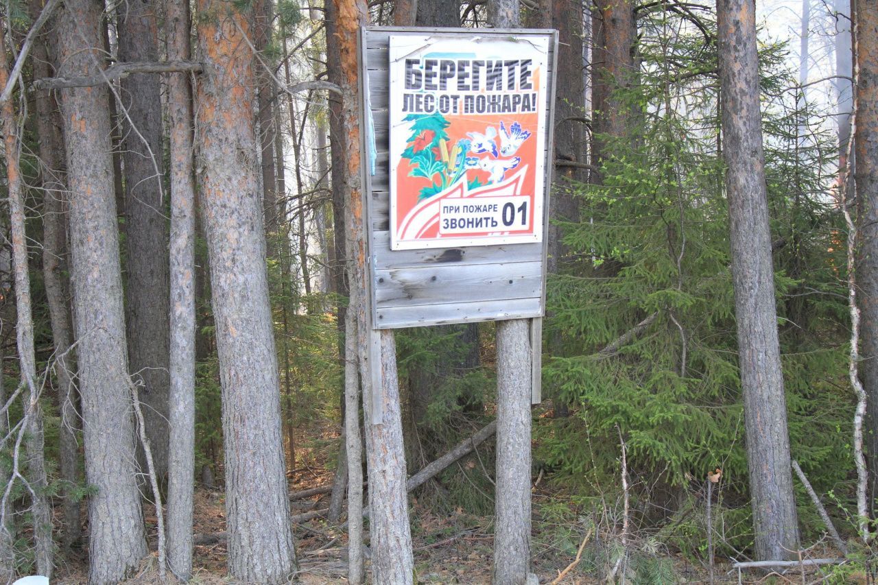 В Свердловской области отменили особый противопожарный режим