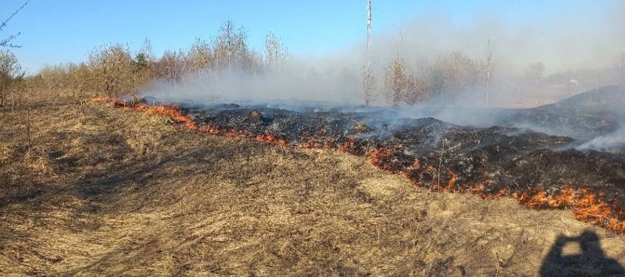 За сутки в Серове трижды горела сухая трава