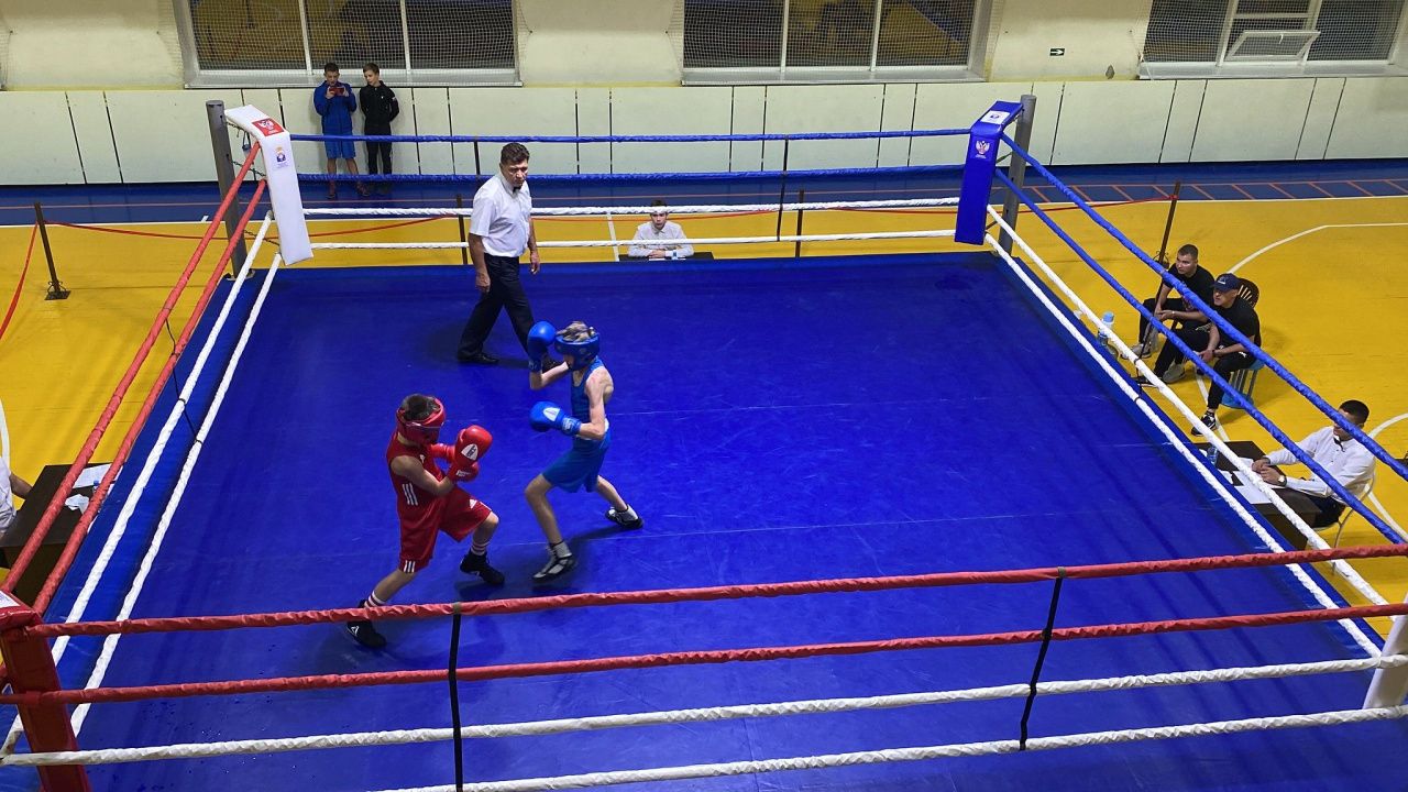 В Серове пройдет матчевая встреча между боксерами из Академии Кости Цзю и Воронежа