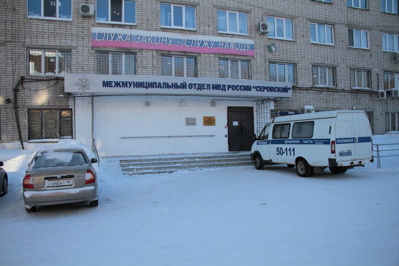 Серовчанина будут судить за вырубку тополей и ольхи в водоохранной зоне