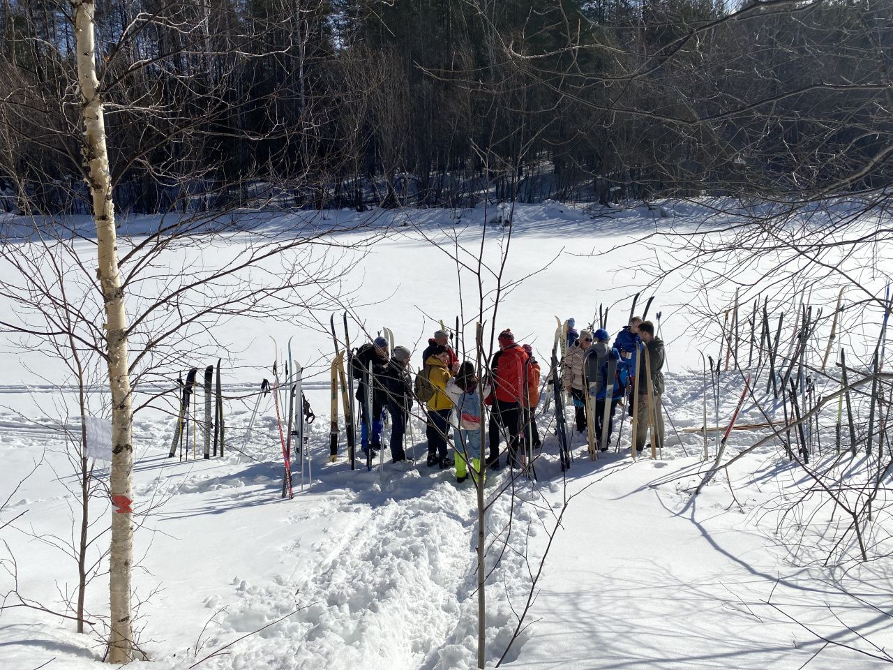 "Мартовскую прогулку" запланировано провести в районе Воронцовки