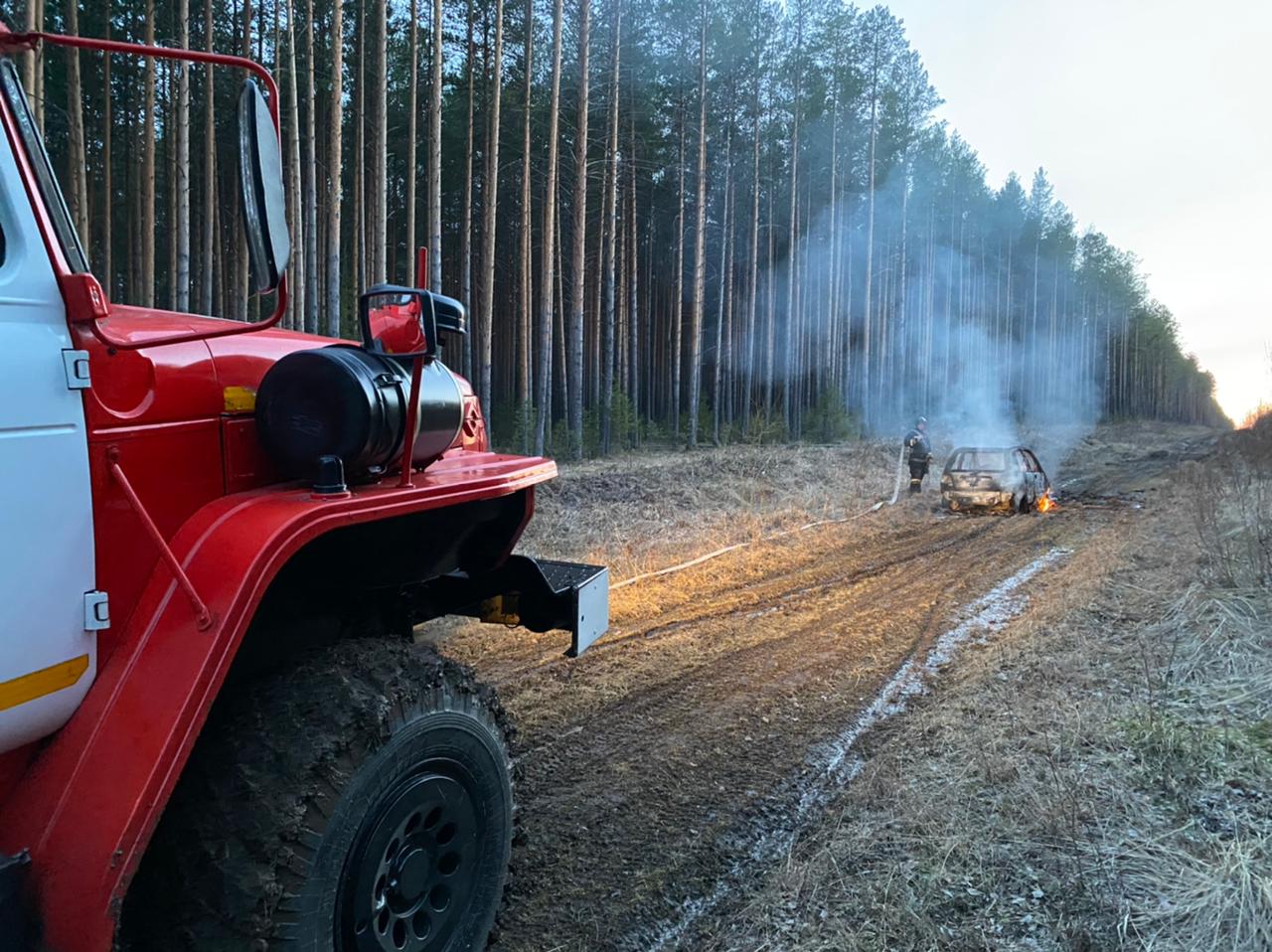 На лесной опушке под Серовом сгорел Daewoo Matiz