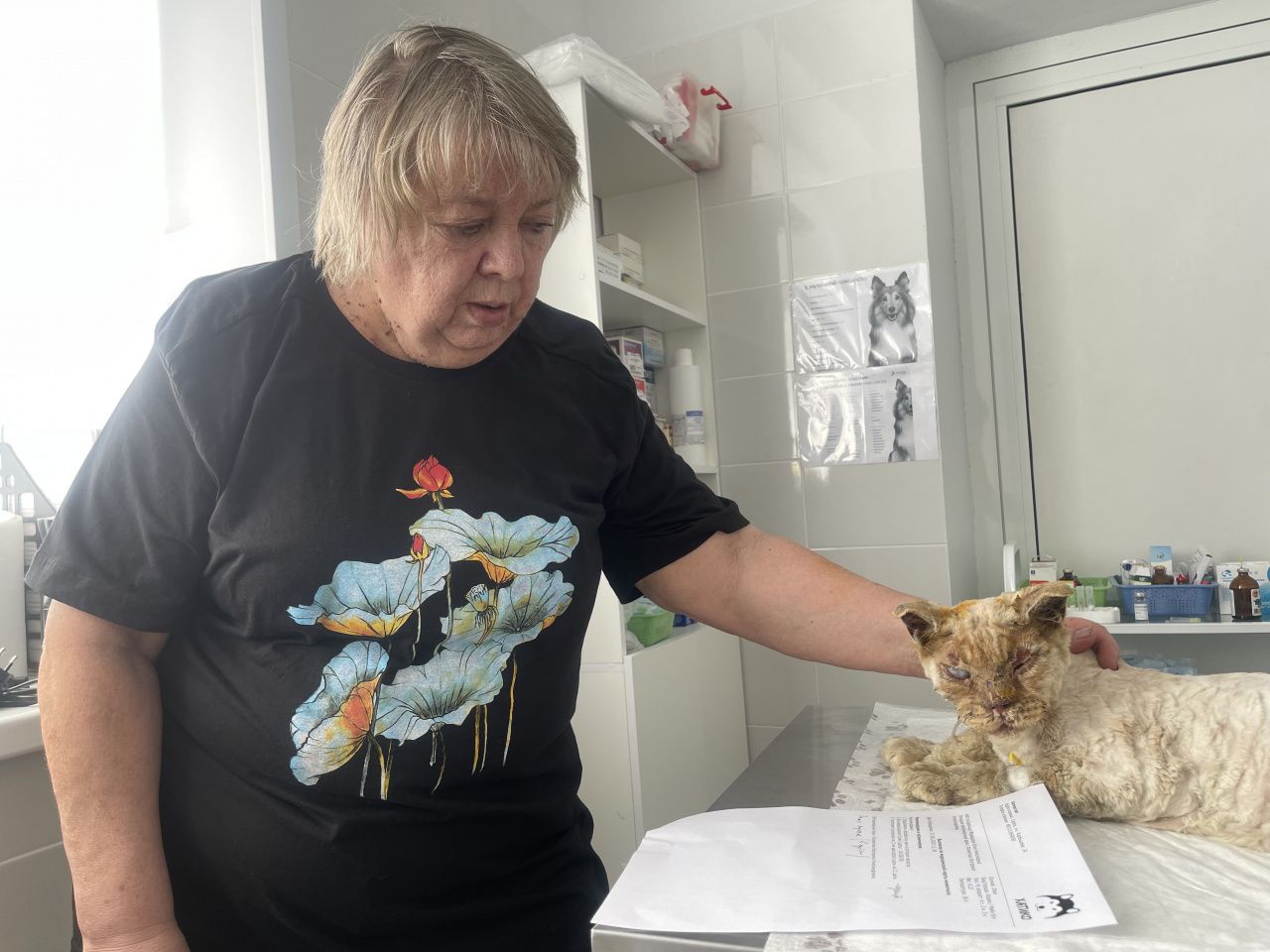 "Деда, гараж горит!" После пожара люди остались без крыши и потеряли котов Кику, Хвостика и Лиссу