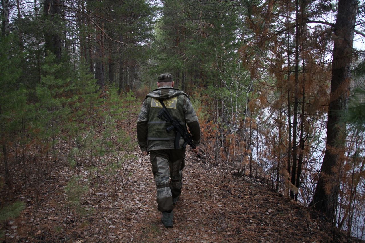 Охотинспектор о медвежонке на водохранилище под Серовом: “Зверь находится на своей территории”