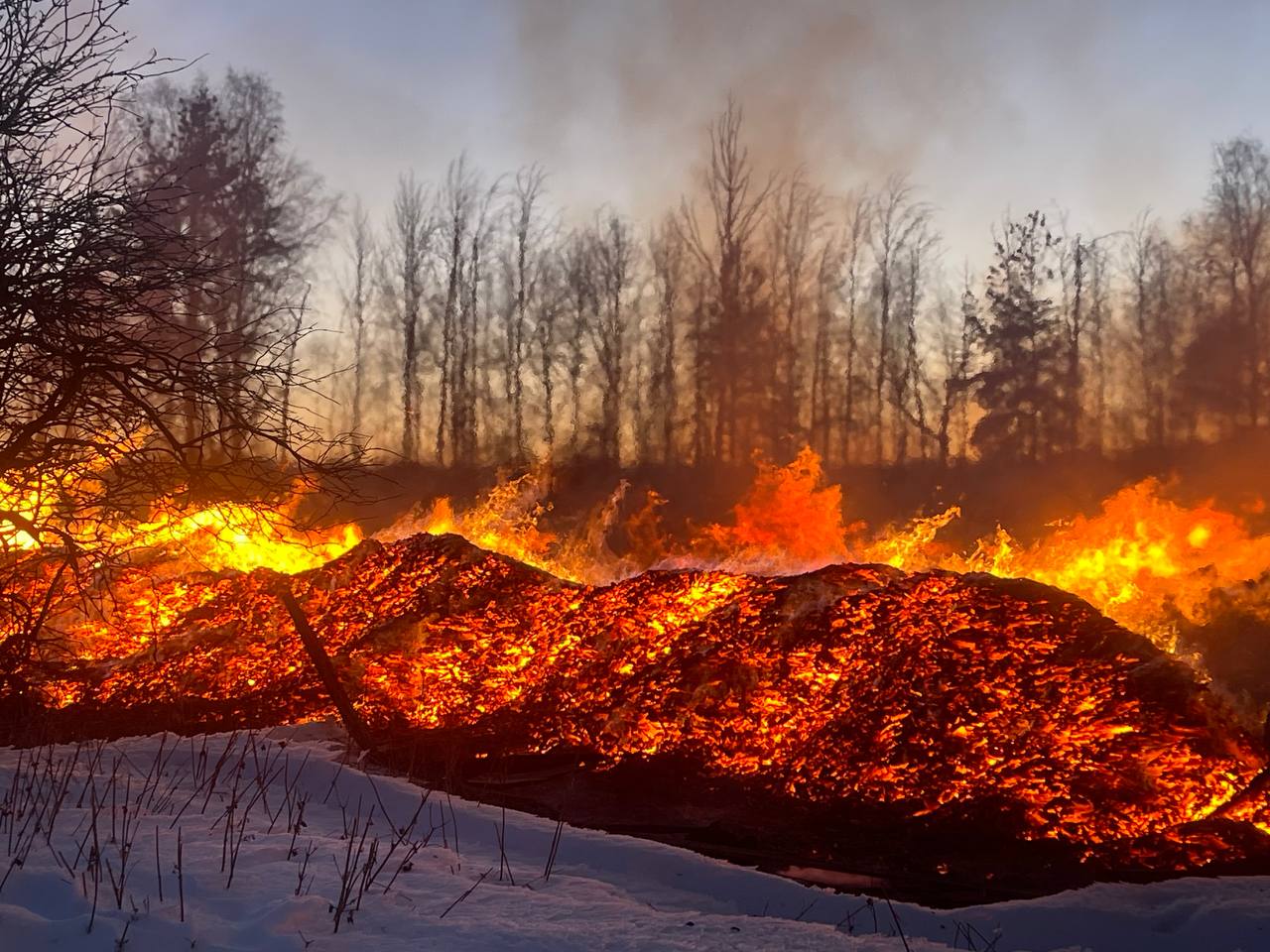 “А если я пыхну?” Серовчане пожаловались на горящую несанкционированную свалку горбыля